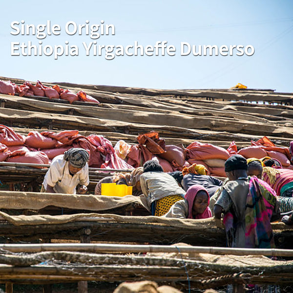 Single Origin Ethiopia Yirgachefe Demerso Natural